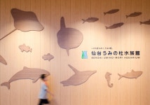 「전시」おしゃれまとめの人気アイデア｜Pinterest｜Smin | 環境グラフィックデザイン, 幼稚園 デザイン, デザイン