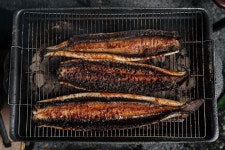 장어구이 #장어 #산이양어장 #숯불 #캠핑 #캠핑요리 #camping #campingfood #eel #food #음식 #foodphotography #fujigfx... 