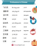Learning Chinese에 있는 Who I Am님의 핀 | 중국