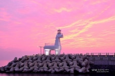 사진초보의 야경사진 좌절기(제주 이호테우해변/조랑말 등대/제주 야경) | Jeju island, Lighthouse, Travel