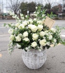 끝내줬던 #마르샤장미 흐린날씨가 너무나 아쉽네요😥 . . . 문의는 카톡... 끝내줬던 #마르샤장미 흐린날씨가 너무나 아쉽네요😥 . . . 문의는... 