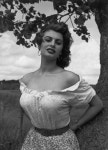 Pin by 박장호 on Sophia loren | Sophia loren, Sofia loren, Actresses