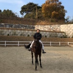 #경기도#충청남도#당진여행#승마#horse#더러브렛 #말#귀요미 여한율 여한빛 #셀카  여한율... | Horses, Animals