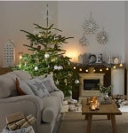 Christmas에 있는 sinai noh님의 핀 | 원예