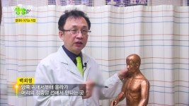 방송출연강연 우리들한의원TV-Radio에 있는 핀