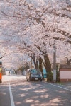 「사진」おしゃれまとめの人気アイデア｜Pinterest｜깊은바다 | 風景, 絶景, 行ってみたい場所