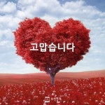 내가 하고 싶은 사랑은(이미지 포함) | 사랑은, 사랑, 행복한