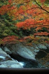 (경남여행/함양여행)지리산 칠선계곡 비선담 단풍 여행. 지리산 칠선계곡의 비선담에도 붉은 빛을 토해내고 있었다. | South... 