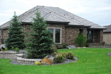 Front yard landscaping | 정원