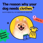 템플릿 - 미리캔버스 - 2023 | 카드 디자인, 템플릿, 배너