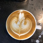 21  coffee  latte  latteart  rosetta  🌿  ☕️  순정피쳐  튜닝피쳐  커피  라떼  라떼아트  로제타  ☺️ 다음은  튤립... 
