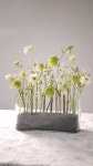 Pin by ᄏᄂᄏᄏ on 꽃꽂이 in 2022 | Modern flower arrangements, Tulips arrangement, Flower arrangements simple