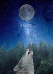 하울링/howling 2017.06.24(이미지 포함)