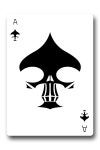 Ace of Spades | 카드