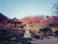 #부석사 #부석사무량수전 #일상 #맛집 #취미 #여행 #개스타그램 #멍스타그램 #독스타그램... | Top dog breeds, Dog pet beds, Dog rooms