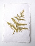fern original watercolor painting(이미지 포함) | 수채화, 그리기