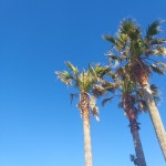 in_Jeju에 있는 찐빵 당근님의 핀