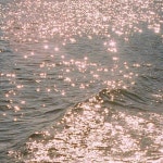 사랑은 어느 곳에나 있어 #글#생각#책#book#기록#기억#심리#퍼블리#영화#공감#인생… | 풍경 배경화면, 자연 배경화면... 