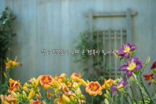 작은 행복들이 모여 큰 행복이 됩니다 | 아름다운 정원, 식물, 정원 가꾸기