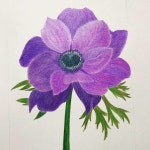 아네모네 색연필화 | 아네모네