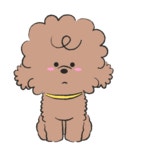 한시간컴(주) - 포트폴리오 - 2020 | 귀여운 사랑, 이모티콘, 푸들