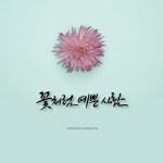 감성글귀 펜글씨 캘리그라피 by이지영캘리 | 그림