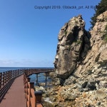 [New] The 10 Best Travel Ideas Today (with Pictures) -  #첫줄생략 #모아이바위 #호미반도해안둘레길 #둘레길 . . #여행... 