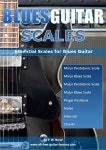 Guitar Lessons for Beginners(이미지 포함)