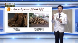 황금보다 귀하다는 침향! 효능과 구분법, 사용방법까지 - YouTube