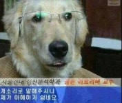 나는 익사하고 있는데 넌 짤이나보고있어에 있는 Enter님의 핀 | 웃긴 밈, 동물 유머, 웃긴