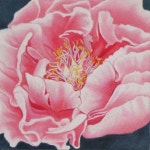Peony Colored Pencils | 퀼트, 아트