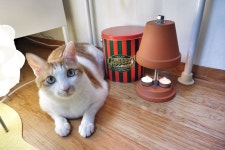 한빛군 Terracotta Tea Light Stand heater