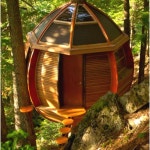 Tree house | 트리하우스, 작은 집, 나무 위의 집