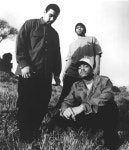 Total Devastation | Spotify Total Devastation