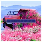 bllossom | Spotify bllossom