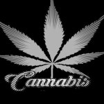 Mark Patterson | Spotify Mark Patterson