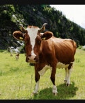 Bavaria Chill Beats | Spotify Bavaria Chill Beats
