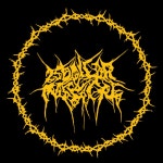 25 Dollar Massacre | Spotify 25 Dollar Massacre