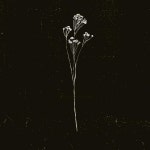 Sarghuma Incoxis | Spotify Sarghuma Incoxis