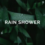 Rain Shower | Spotify Rain Shower