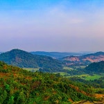 Heavenly Garden | Spotify Heavenly Garden