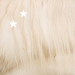 ZÜRICH | Spotify ZÜRICH