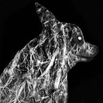Root Canine, Pt. 6 - song by BEAST | Spotify Root Canine, Pt. 6