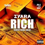 Rich (Everything Gold) - Single by Iyara | Spotify Rich (Everything Gold)