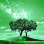 NO AMAL - song by Ayuur | Spotify NO AMAL