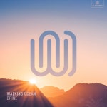 Brine - Single by Walking Ocean | Spotify Brine