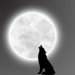 Peaceful Moon - Single by LoFi Chick | Spotify Peaceful Moon