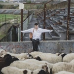 15 - song and lyrics by GOLIARDO | Spotify 15