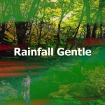 Rainfall Gentle - Album by The Forest Escape | Spotify Rainfall Gentle