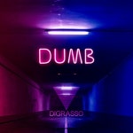 Dumb - Single by Digrasso | Spotify Dumb